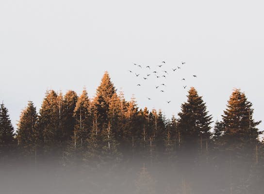 Highlands