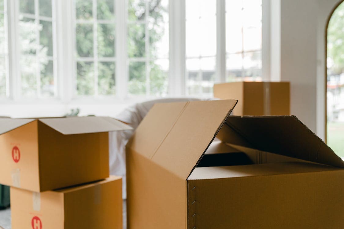 Move In/Out Cleaning